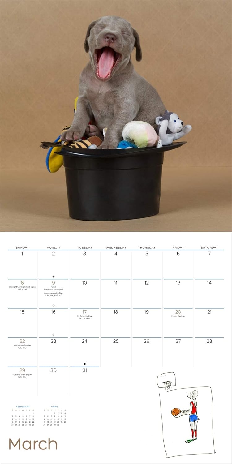 William Wegman Puppies 2020 Wall Calendar