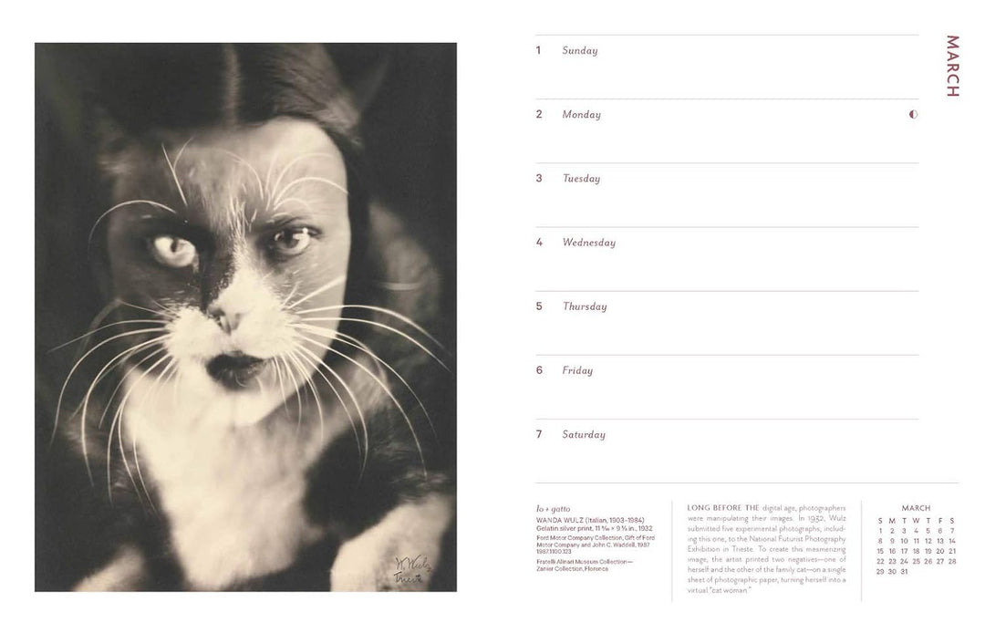 CAL 20 MASTERPIECES DLX