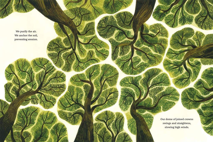 Be a Tree!: Stitch, Patch, Darn, Plant-Dye & Love Your Wardrobe Book