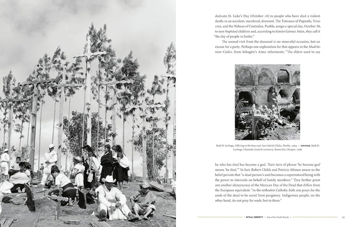 Day of the Dead: The History of a Celebration Book