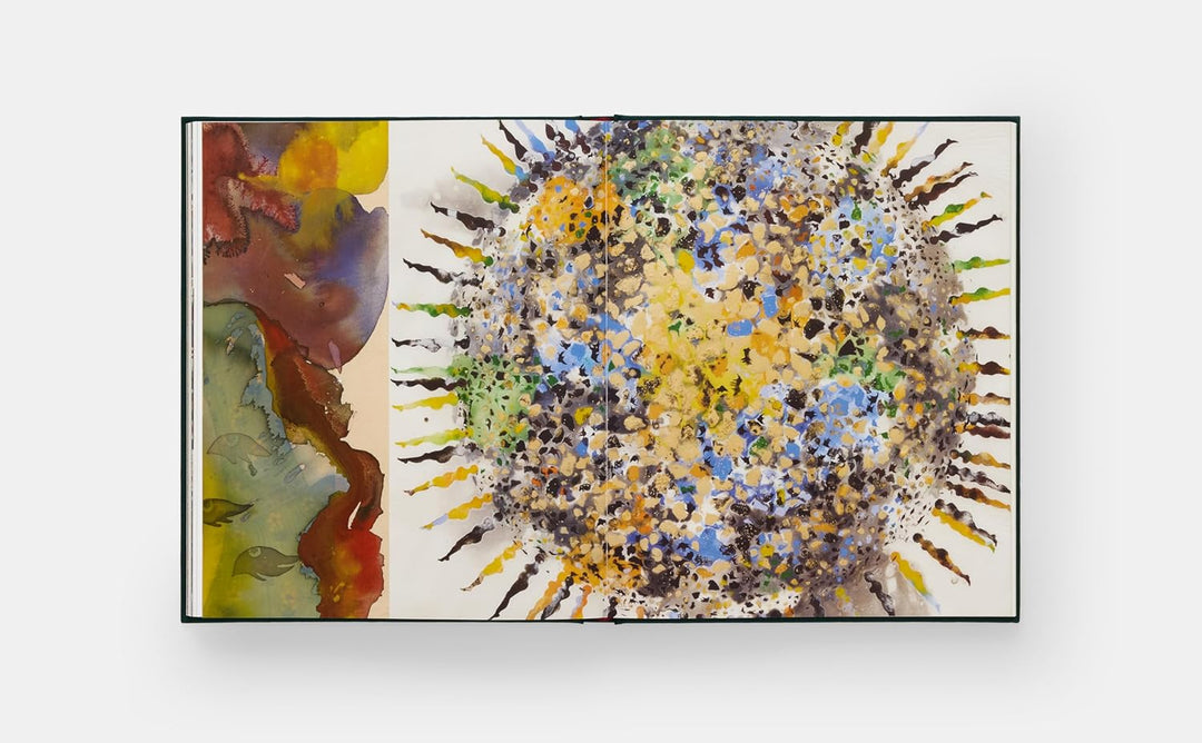 Shahzia Sikander: Collective Behavior Book