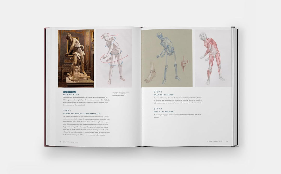 Drawing the Body: Reading the Human Form in Art Book