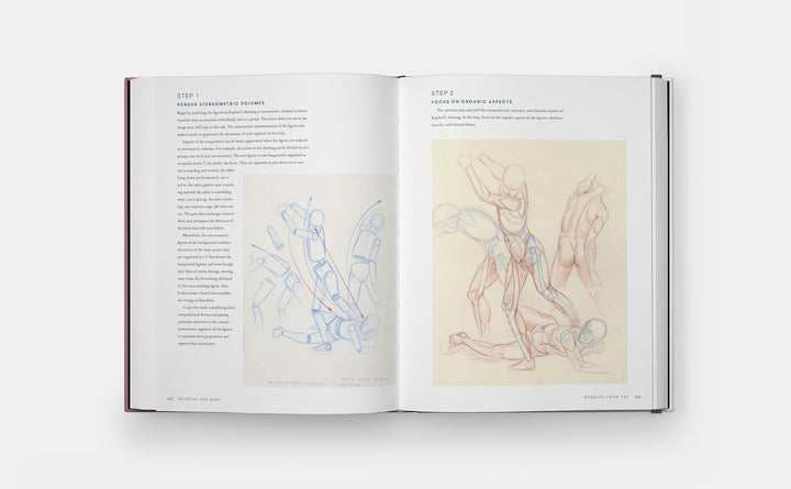 Drawing the Body: Reading the Human Form in Art Book