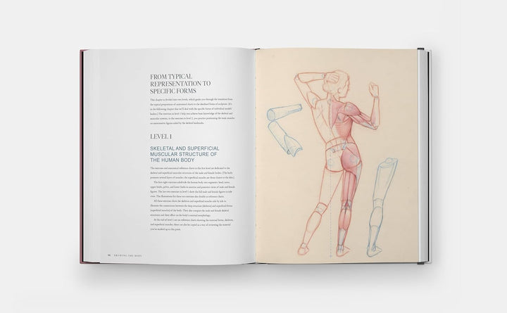 Drawing the Body: Reading the Human Form in Art Book