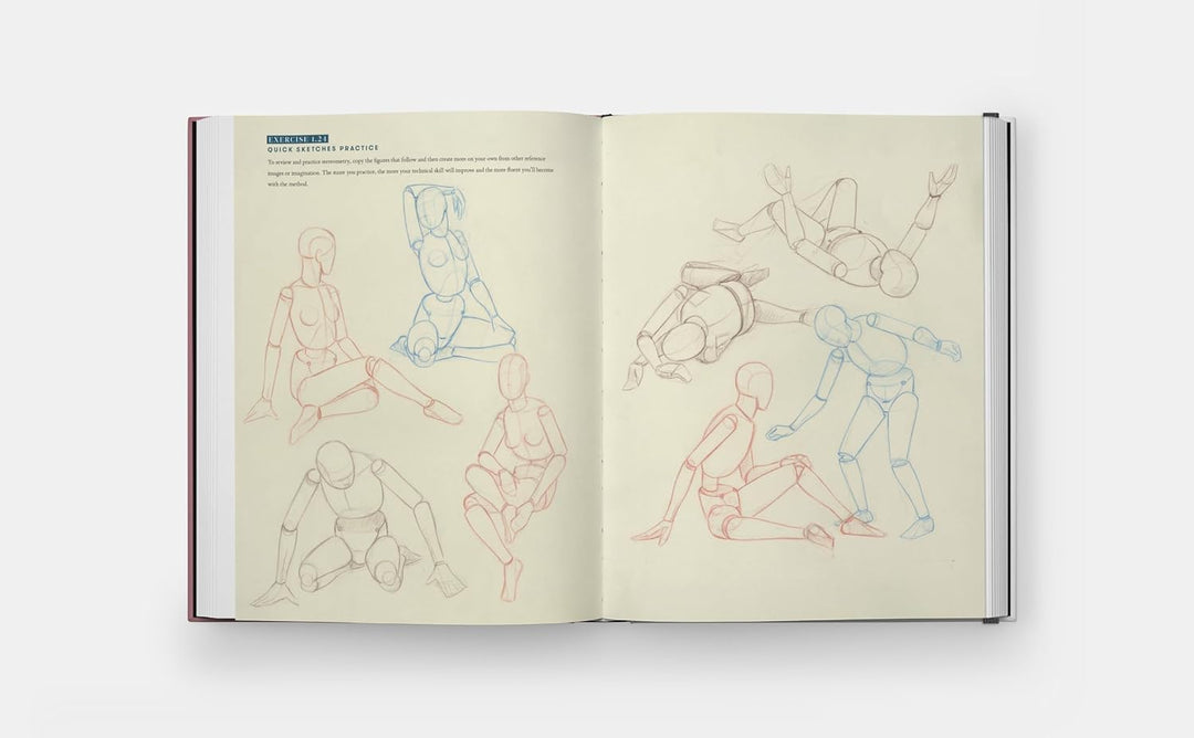 Drawing the Body: Reading the Human Form in Art Book