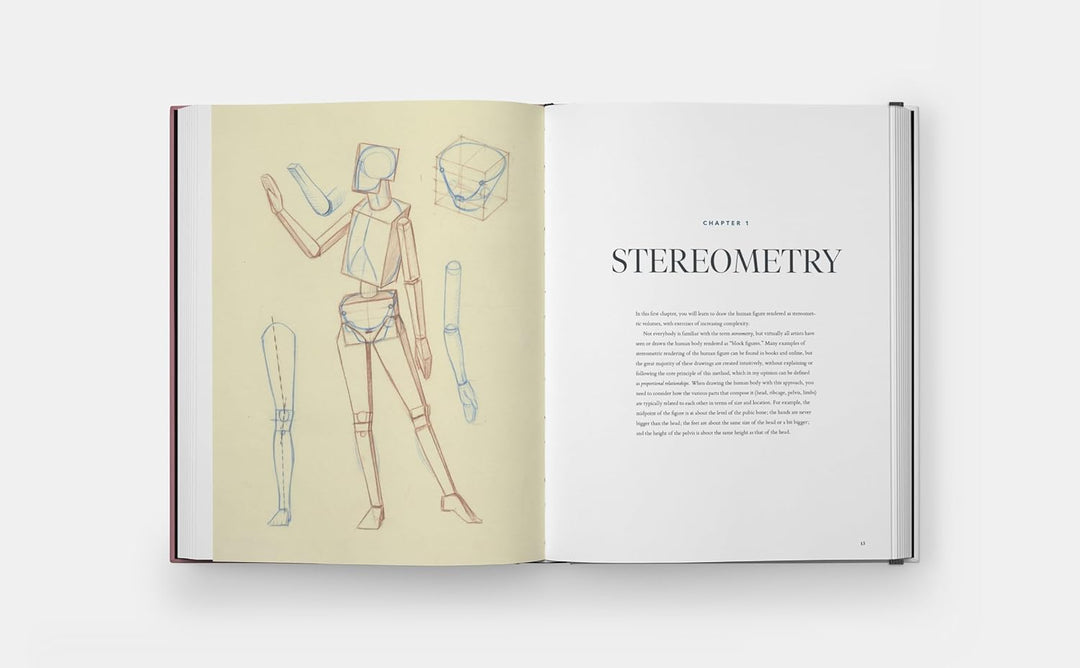 Drawing the Body: Reading the Human Form in Art Book