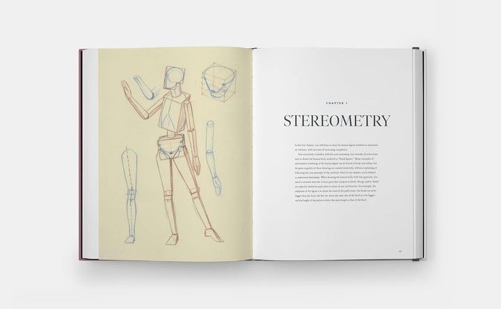Drawing the Body: Reading the Human Form in Art Book