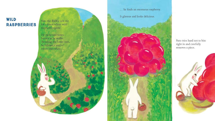 Sato the Rabbit, A Sea of Tea Book