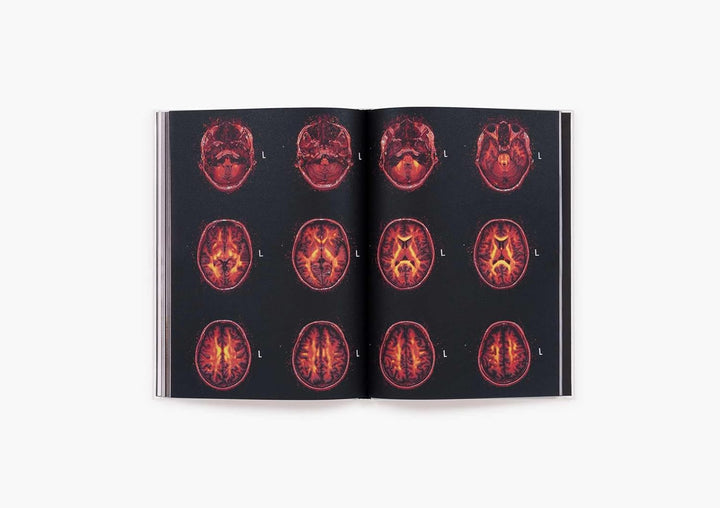 Heji Shin: THE BIG NUDES BOOK