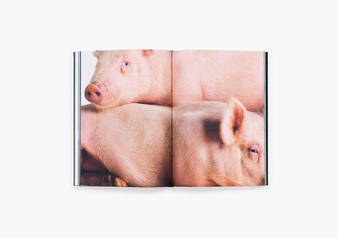 Heji Shin: THE BIG NUDES BOOK