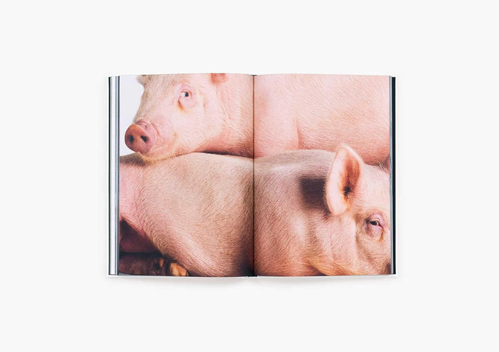 Heji Shin: THE BIG NUDES BOOK
