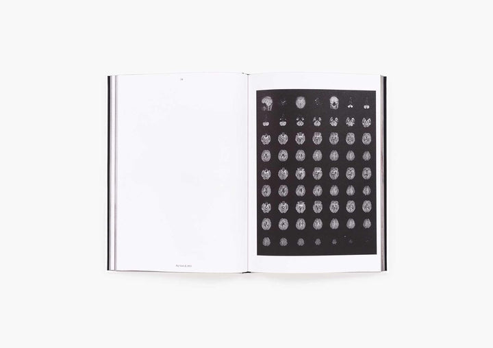 Heji Shin: THE BIG NUDES BOOK