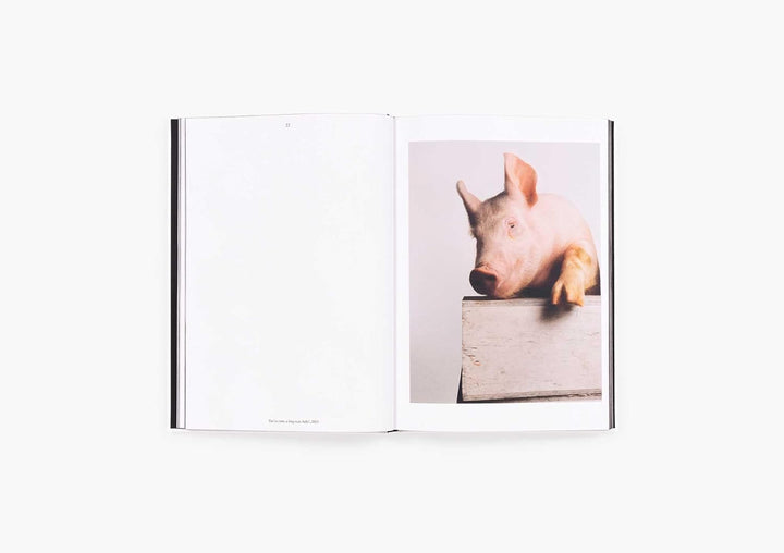 Heji Shin: THE BIG NUDES BOOK