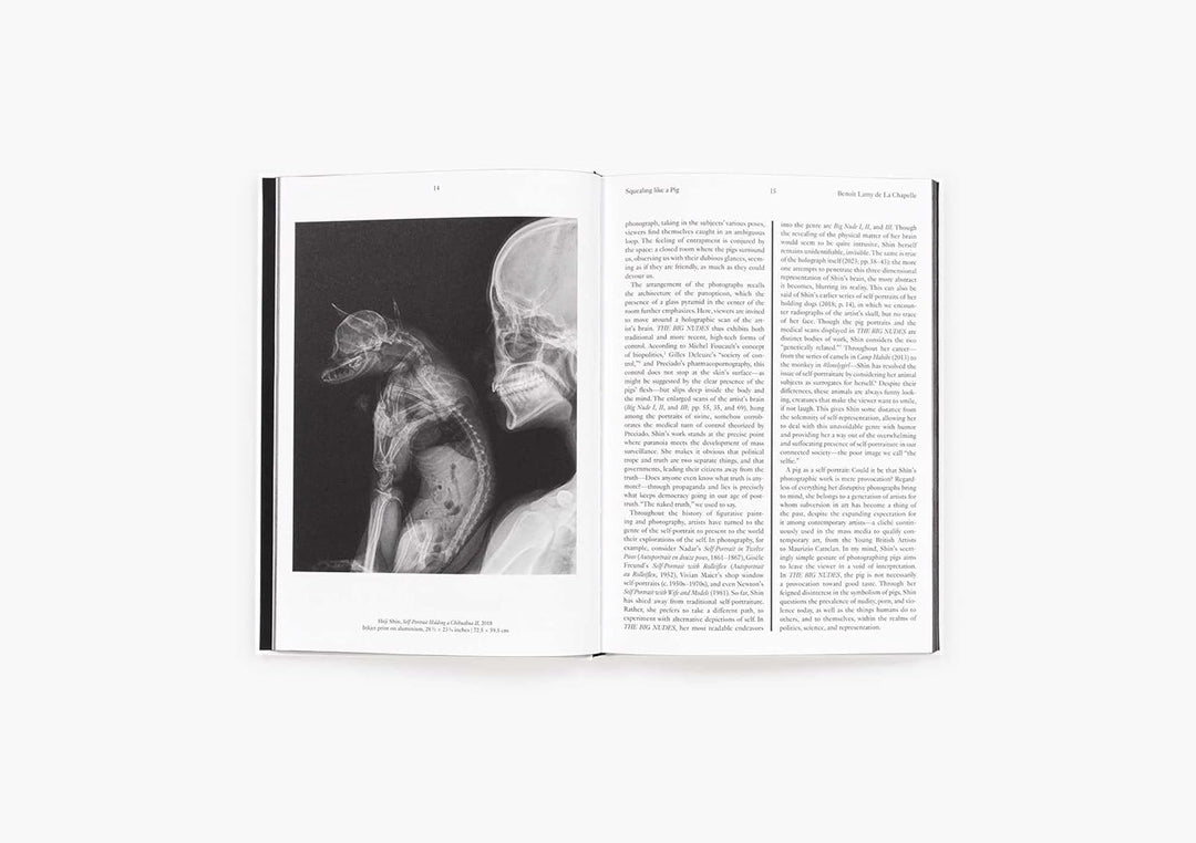 Heji Shin: THE BIG NUDES BOOK