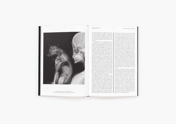 Heji Shin: THE BIG NUDES BOOK