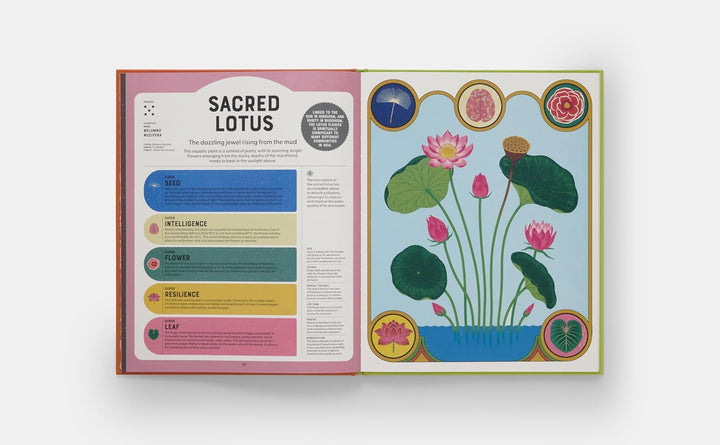 Superpowered Plants: Meet the Smartest, Strongest, and Sneakiest Plants Book