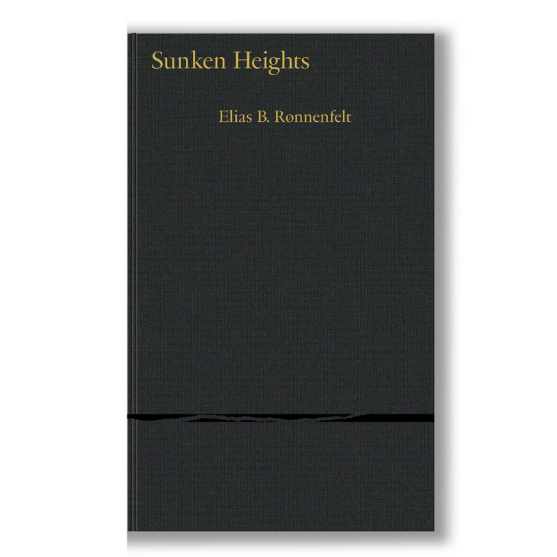 Sunken Heights Book