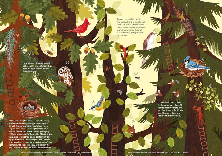 Little Mouse's Encyclopedia: A Picture Book About the Wonders of Nature