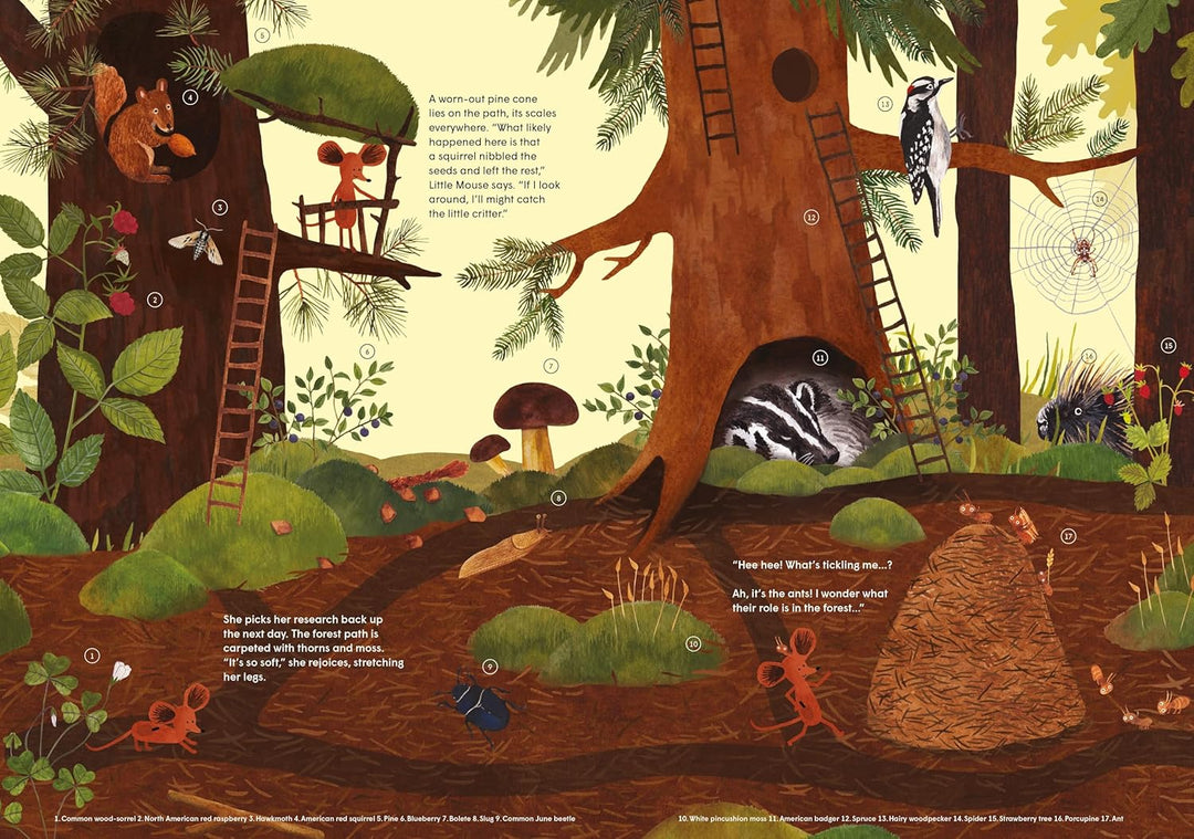 Little Mouse's Encyclopedia: A Picture Book About the Wonders of Nature