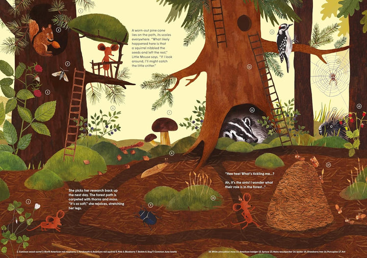 Little Mouse's Encyclopedia: A Picture Book About the Wonders of Nature