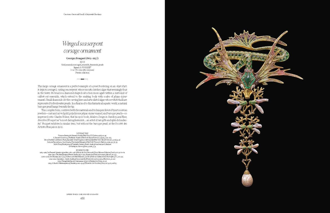 Divine Jewels: The Pursuit of Eternal Beauty Book