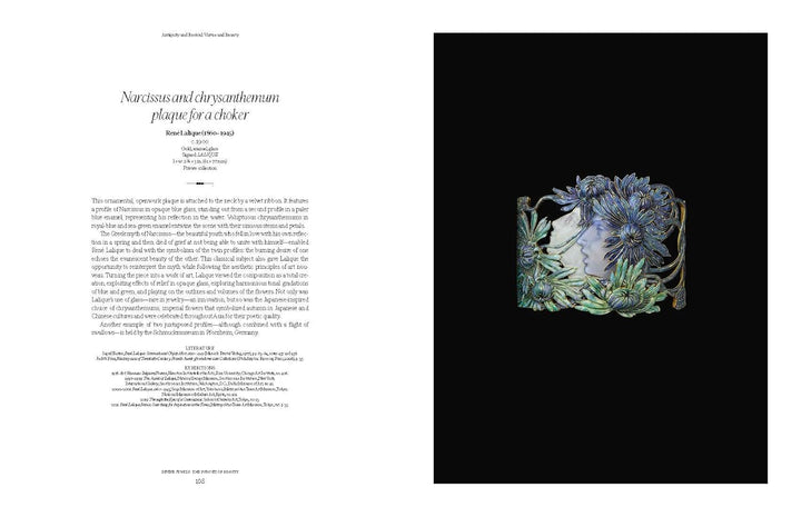 Divine Jewels: The Pursuit of Eternal Beauty Book