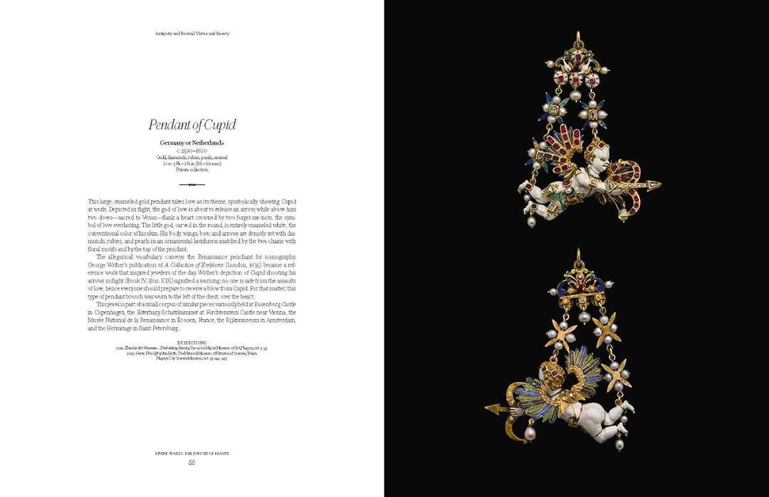 Divine Jewels: The Pursuit of Eternal Beauty Book