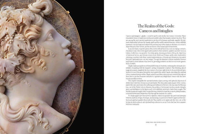 Divine Jewels: The Pursuit of Eternal Beauty Book