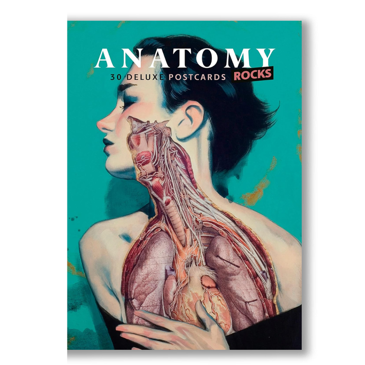 Anatomy Rocks: postcards: A portfolio: 24 plates