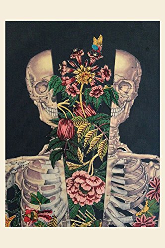 Anatomy Rocks: postcards: A portfolio: 24 plates