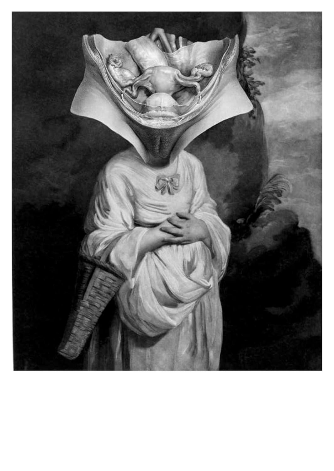 Anatomy Rocks: postcards: A portfolio: 24 plates