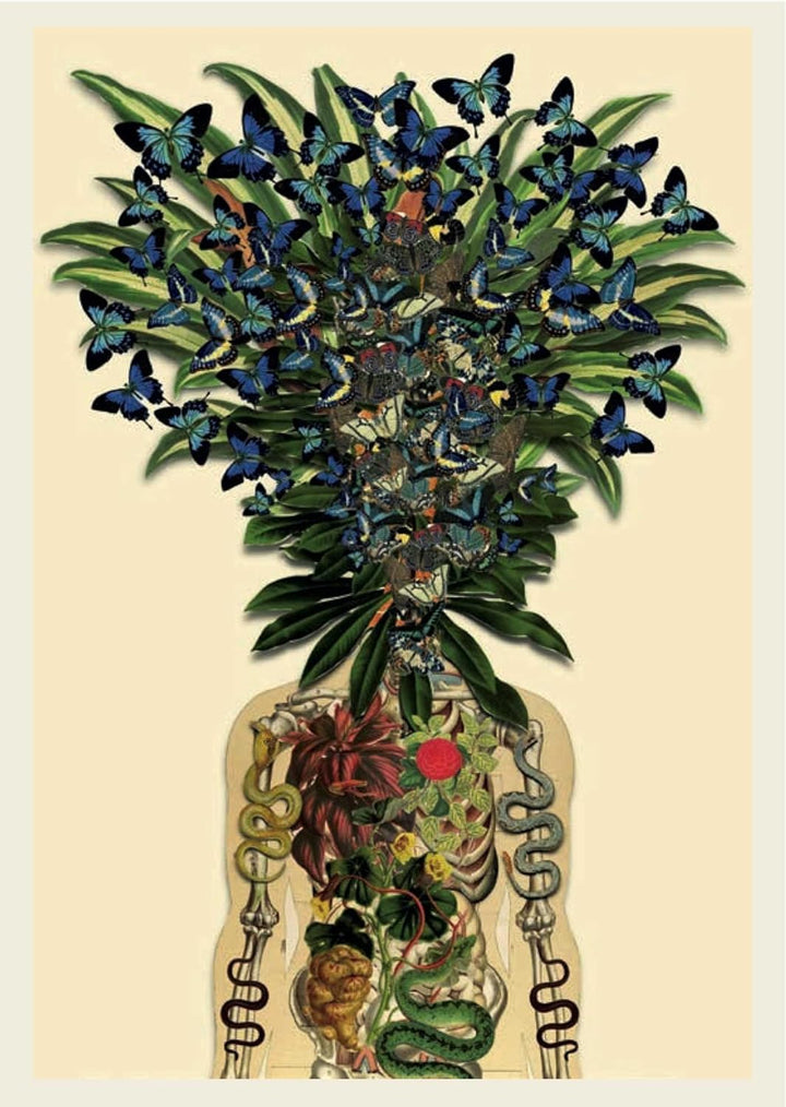 Anatomy Rocks: postcards: A portfolio: 24 plates