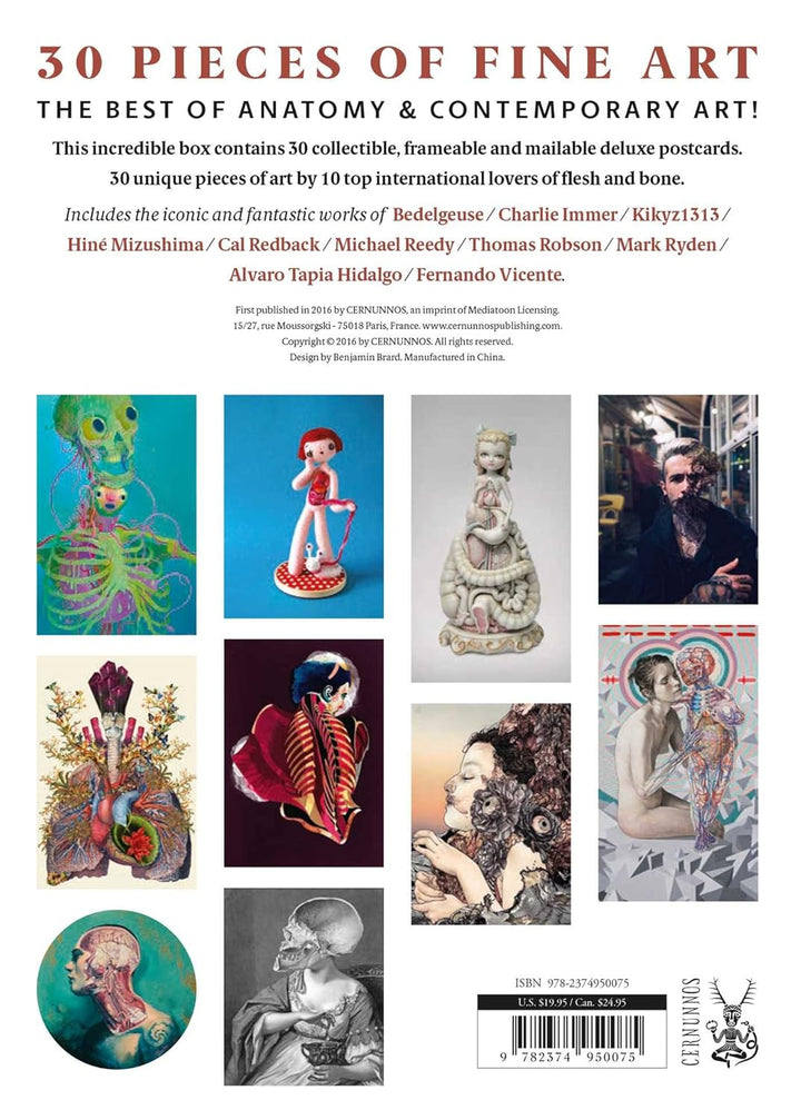 Anatomy Rocks: postcards: A portfolio: 24 plates