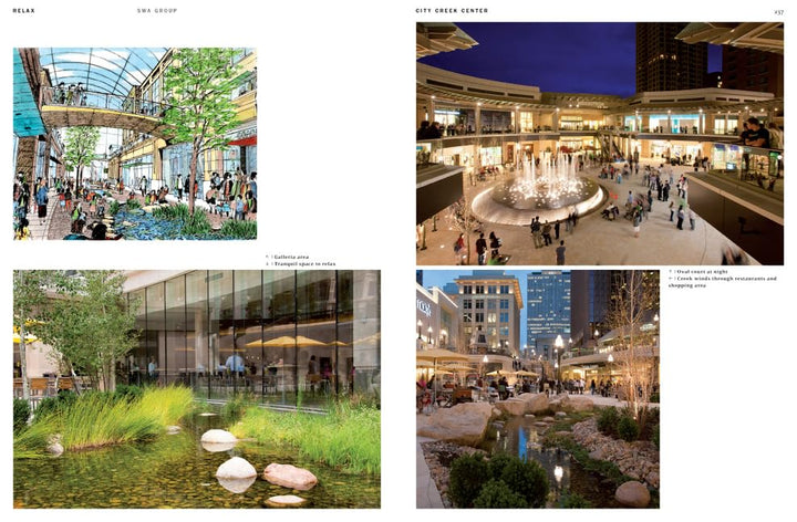 Pedestrian Zones: Car-Free Urban Spaces (Architecture in Focus) Book