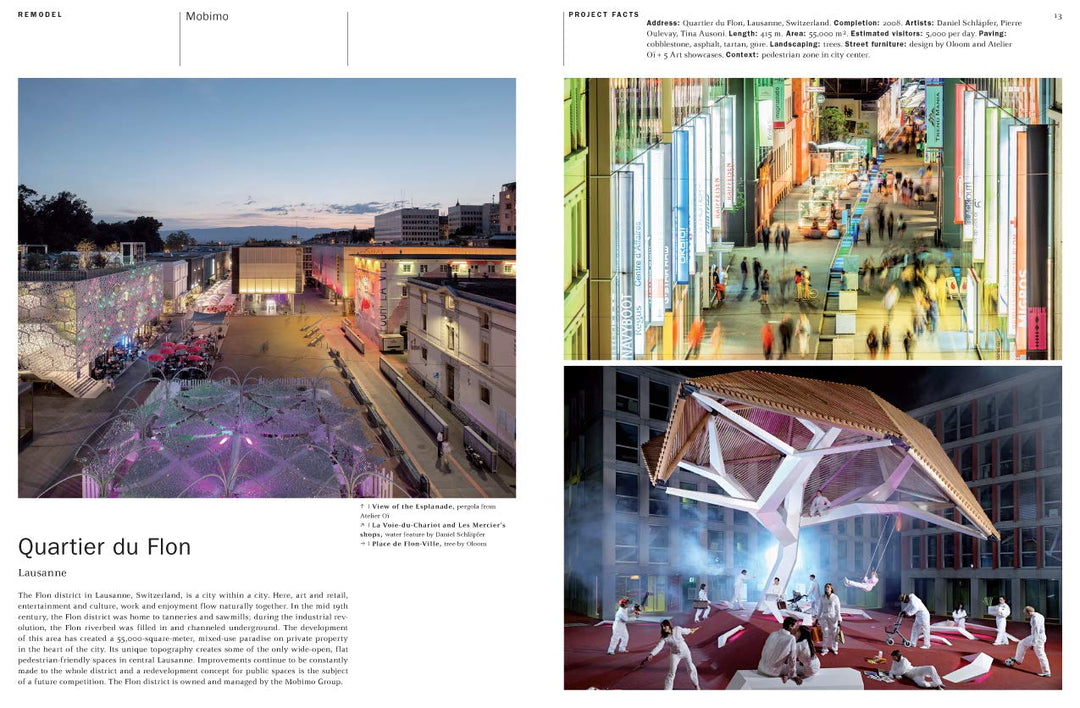 Pedestrian Zones: Car-Free Urban Spaces (Architecture in Focus) Book