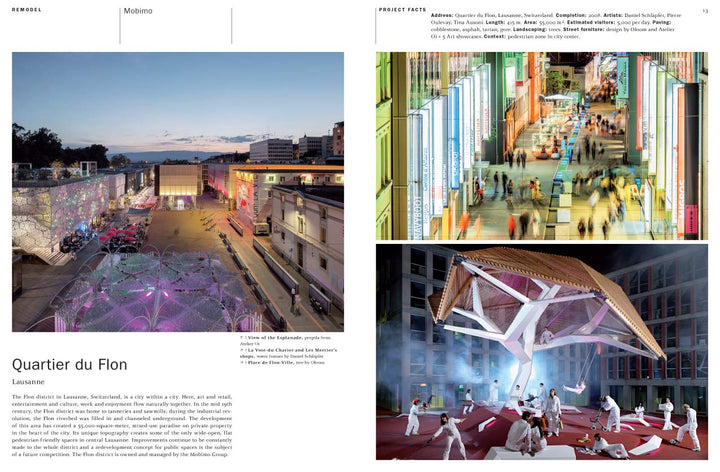 Pedestrian Zones: Car-Free Urban Spaces (Architecture in Focus) Book