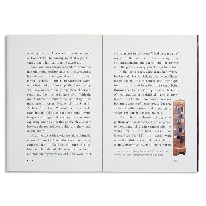 The Art of Vivan Sundaram Book
