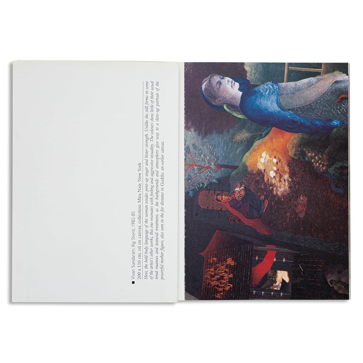 The Art of Vivan Sundaram Book