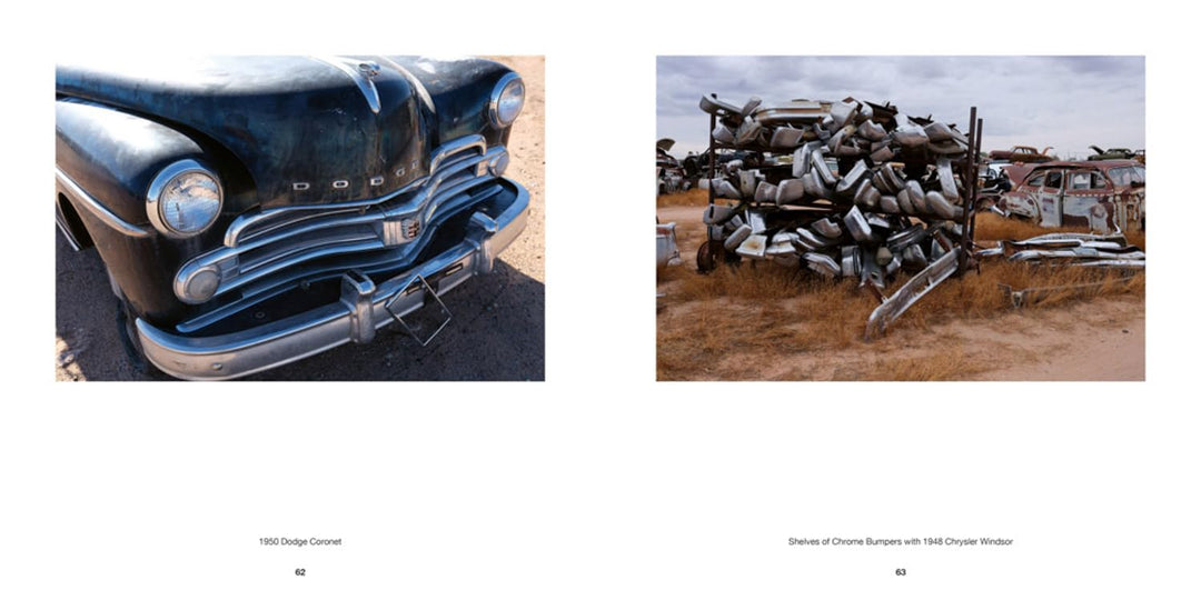 Danny Lyon: Junk: America in Ruins Book
