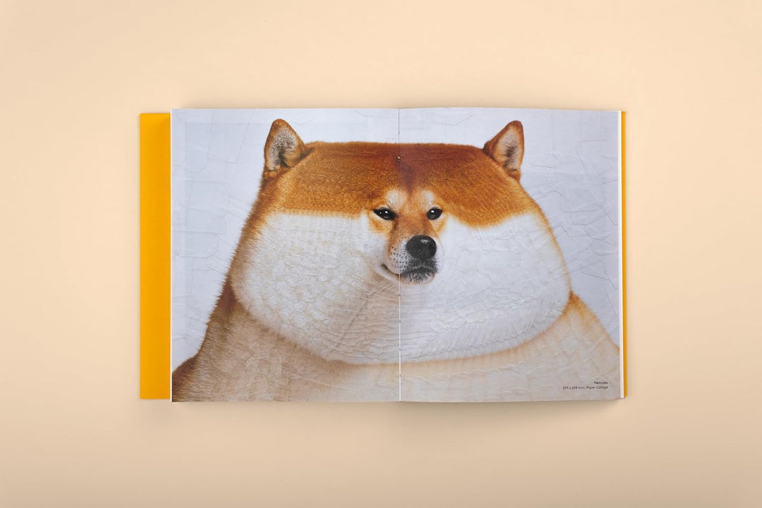 Caninity: An Anthology of Dog Illustrations from Around the World Book