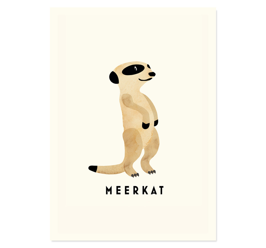 Meerkat By Erik Wintzell Art Print