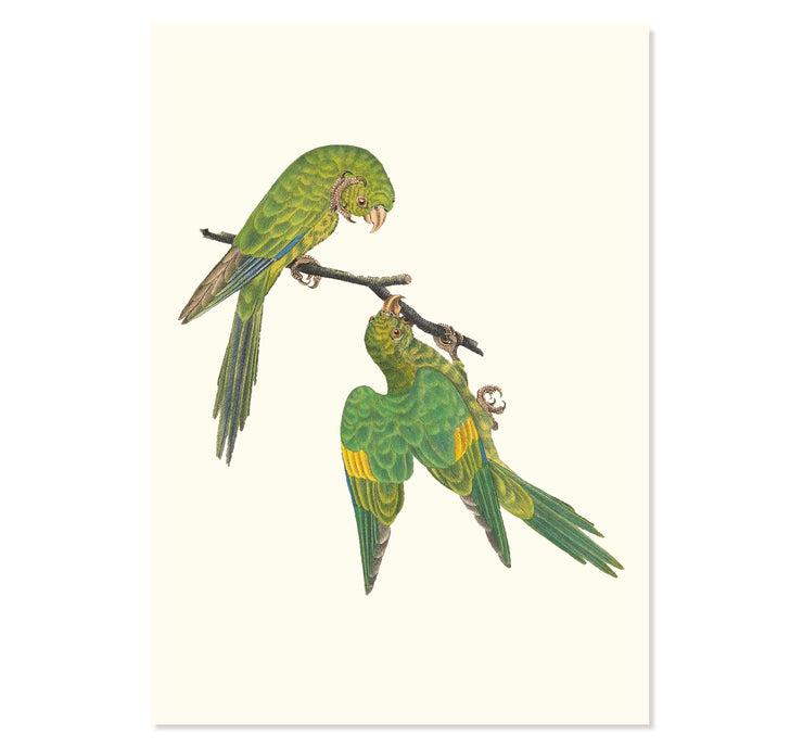 Birds of a Feather Art Print