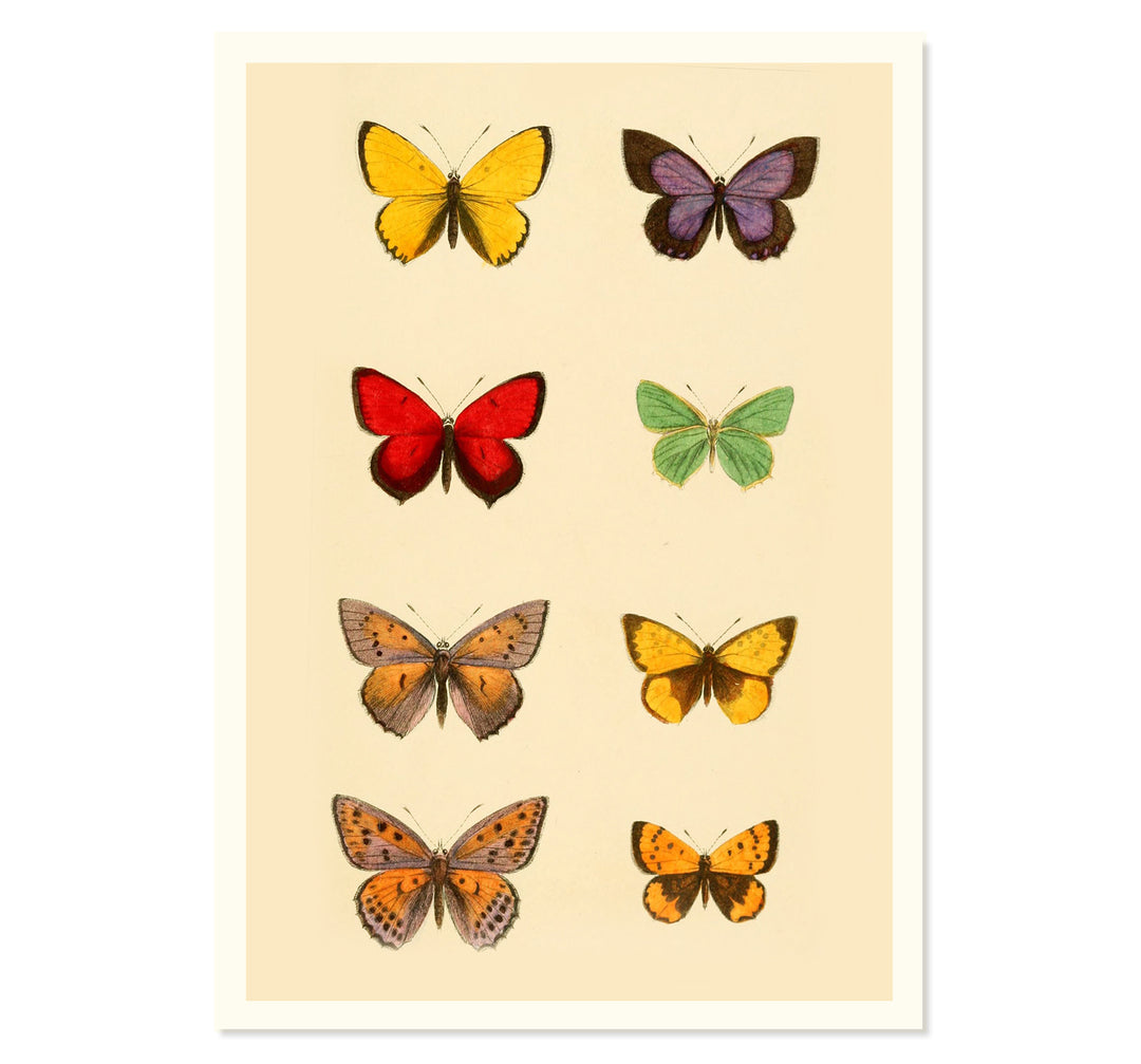 The Butterfly Library Art Print