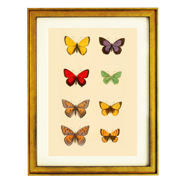 The Butterfly Library Art Print