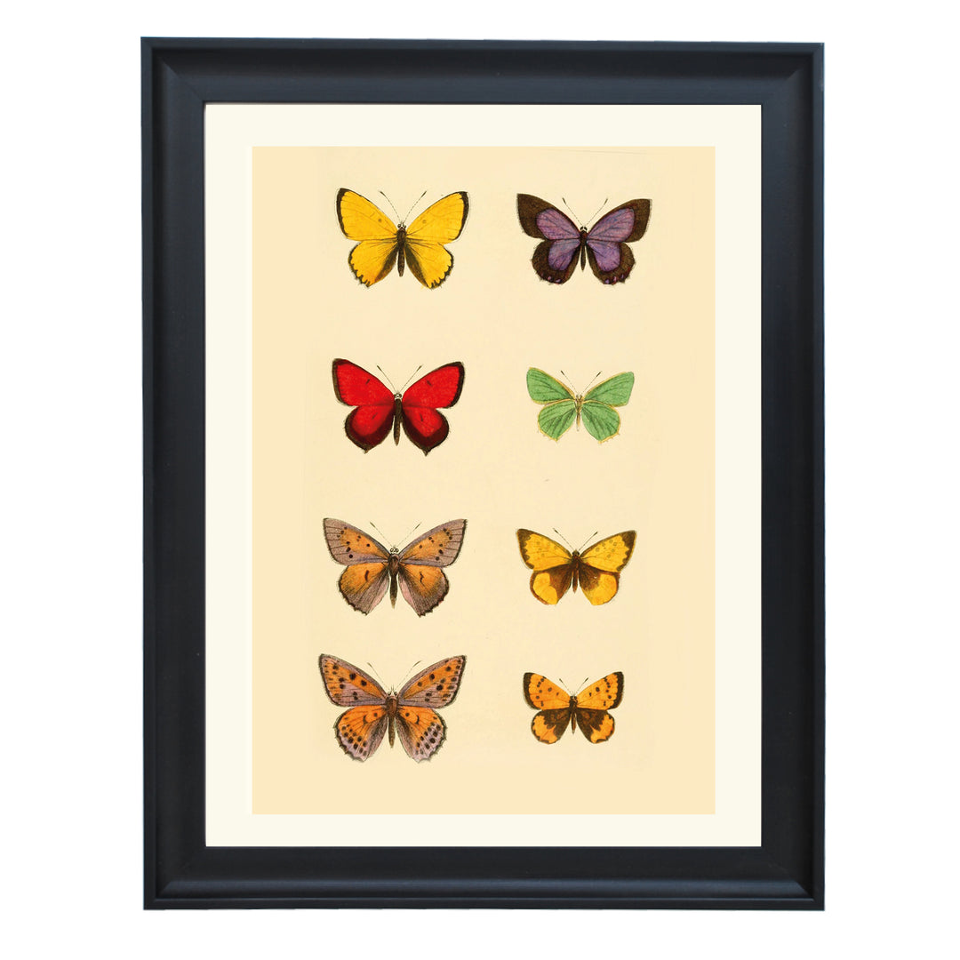 The Butterfly Library Art Print