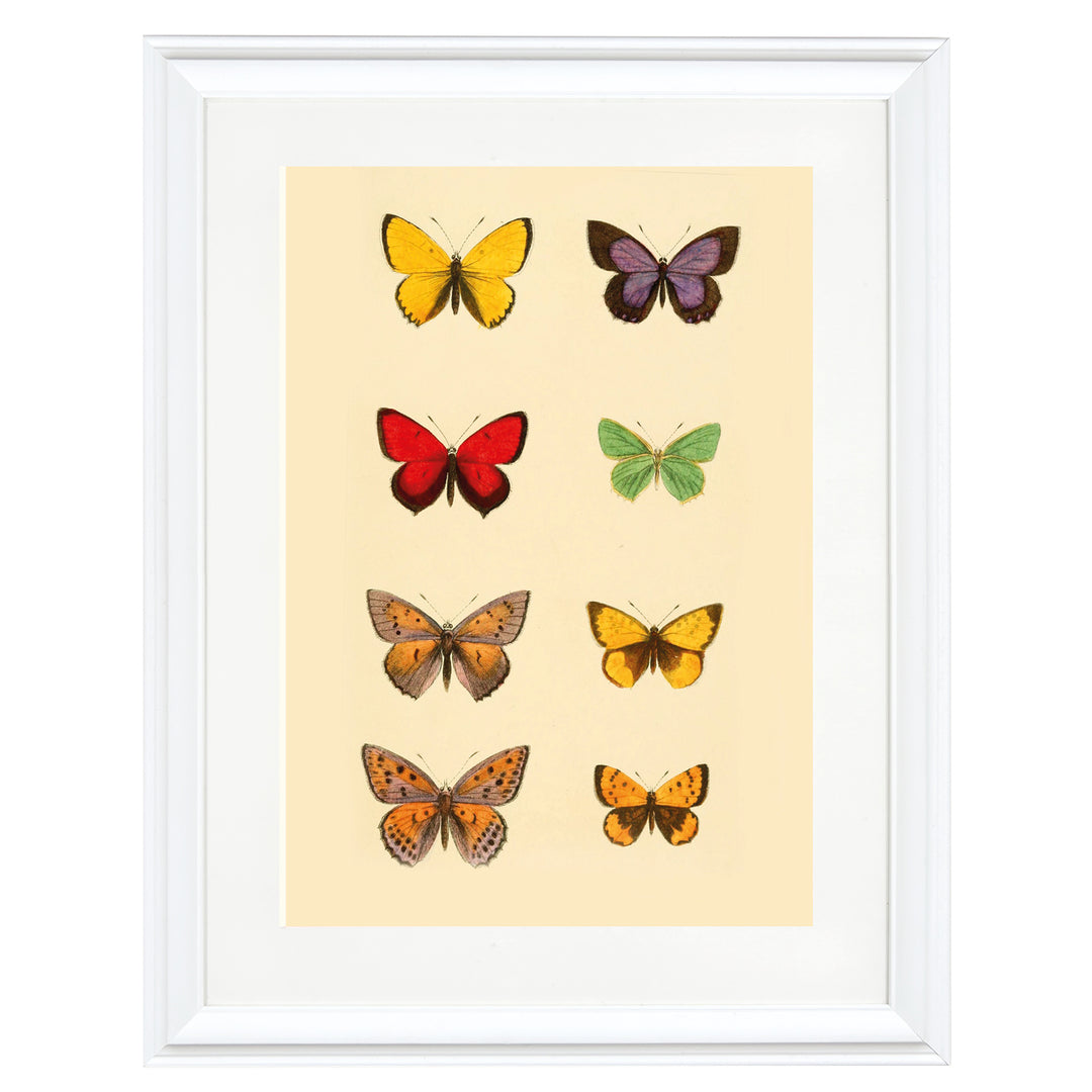 The Butterfly Library Art Print