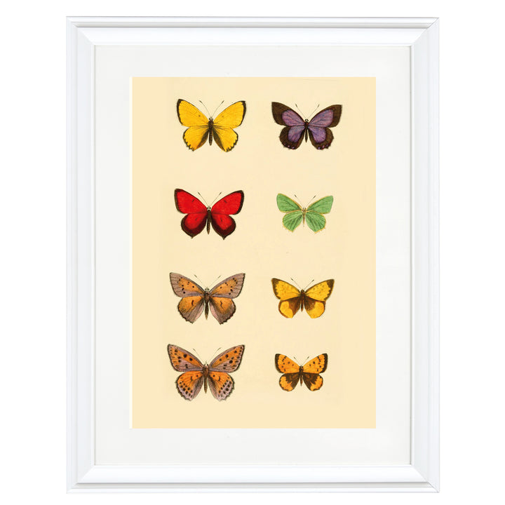 The Butterfly Library Art Print