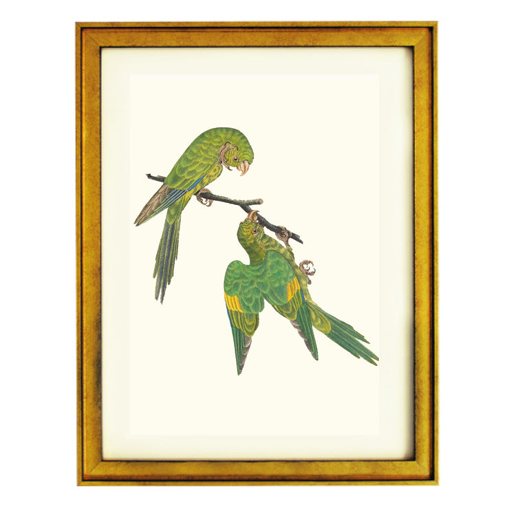 Birds of a Feather Art Print