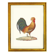 The Rooster Art Print