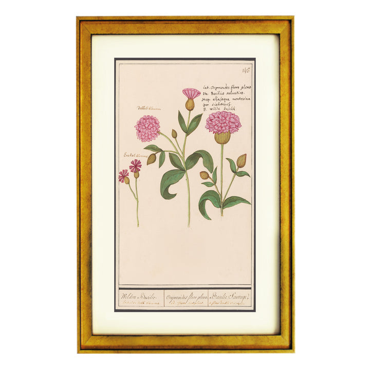 Wild Basil in Double Bloom Art Print